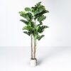 Planta artificial decorativa Monstera, perfecta para añadir un toque tropical y fresco a cualquier espacio. Su diseño realista aporta vida y naturalidad, ideal tanto para interiores como exteriores sin necesidad de mantenimiento. Disponible en www.kactusrepublic.com, con almacén en Castellón.