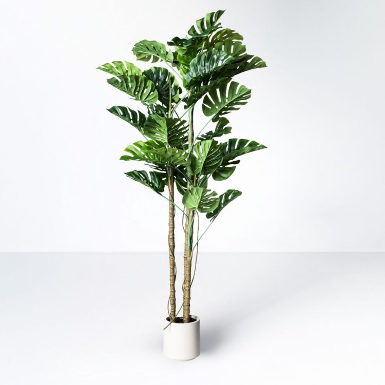 Planta artificial decorativa Monstera, perfecta para añadir un toque tropical y fresco a cualquier espacio. Su diseño realista aporta vida y naturalidad, ideal tanto para interiores como exteriores sin necesidad de mantenimiento. Disponible en www.kactusrepublic.com, con almacén en Castellón.