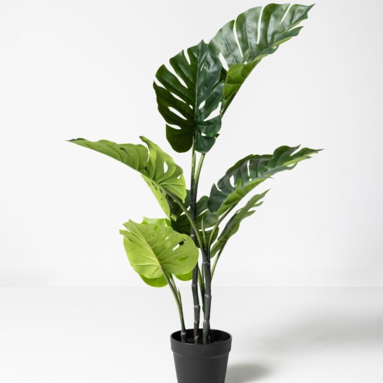 Planta artificial decorativa Monstera, perfecta para añadir un toque tropical y fresco a cualquier espacio. Su diseño realista aporta vida y naturalidad, ideal tanto para interiores como exteriores sin necesidad de mantenimiento. Disponible en www.kactusrepublic.com, con almacén en Castellón.