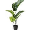 Planta artificial decorativa Monstera, perfecta para añadir un toque tropical y fresco a cualquier espacio. Su diseño realista aporta vida y naturalidad, ideal tanto para interiores como exteriores sin necesidad de mantenimiento. Disponible en www.kactusrepublic.com, con almacén en Castellón.