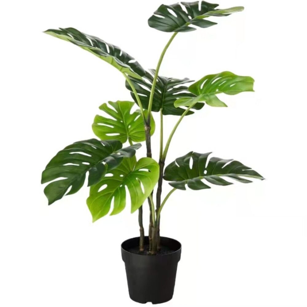 Planta artificial decorativa Monstera, perfecta para añadir un toque tropical y fresco a cualquier espacio. Su diseño realista aporta vida y naturalidad, ideal tanto para interiores como exteriores sin necesidad de mantenimiento. Disponible en www.kactusrepublic.com, con almacén en Castellón.