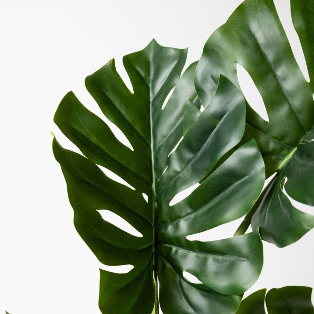 Planta artificial decorativa Monstera, perfecta para añadir un toque tropical y fresco a cualquier espacio. Su diseño realista aporta vida y naturalidad, ideal tanto para interiores como exteriores sin necesidad de mantenimiento. Disponible en www.kactusrepublic.com, con almacén en Castellón.