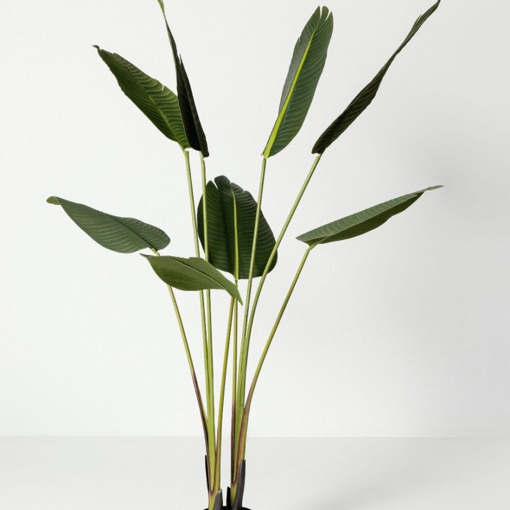 Planta artificial Ave del Paraíso. La Strelitzia es llamada popularmente ave del paraíso o flor del paraíso, perfecta para añadir un toque tropical y fresco a cualquier espacio. Su diseño realista aporta vida y naturalidad, ideal tanto para interiores como exteriores sin necesidad de mantenimiento. Disponible en www.kactusrepublic.com, con almacén en Castellón.