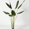 Planta artificial Ave del Paraíso. La Strelitzia es llamada popularmente ave del paraíso o flor del paraíso, perfecta para añadir un toque tropical y fresco a cualquier espacio. Su diseño realista aporta vida y naturalidad, ideal tanto para interiores como exteriores sin necesidad de mantenimiento. Disponible en www.kactusrepublic.com, con almacén en Castellón.