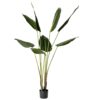 Planta artificial Ave del Paraíso. La Strelitzia es llamada popularmente ave del paraíso o flor del paraíso, perfecta para añadir un toque tropical y fresco a cualquier espacio. Su diseño realista aporta vida y naturalidad, ideal tanto para interiores como exteriores sin necesidad de mantenimiento. Disponible en www.kactusrepublic.com, con almacén en Castellón.