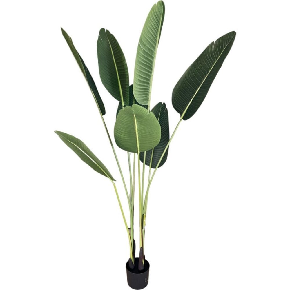 Planta artificial Ave del Paraíso. La Strelitzia es llamada popularmente ave del paraíso o flor del paraíso, perfecta para añadir un toque tropical y fresco a cualquier espacio. Su diseño realista aporta vida y naturalidad, ideal tanto para interiores como exteriores sin necesidad de mantenimiento. Disponible en www.kactusrepublic.com, con almacén en Castellón.