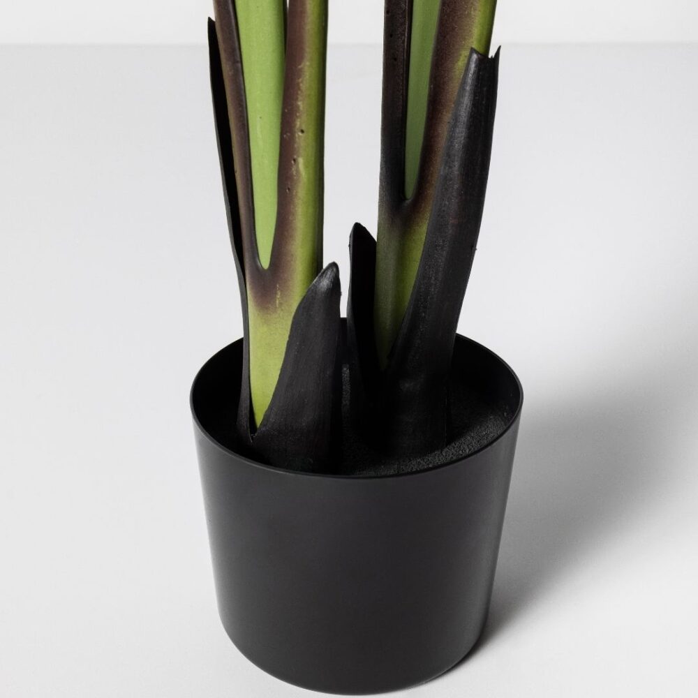 Planta artificial Ave del Paraíso. La Strelitzia es llamada popularmente ave del paraíso o flor del paraíso, perfecta para añadir un toque tropical y fresco a cualquier espacio. Su diseño realista aporta vida y naturalidad, ideal tanto para interiores como exteriores sin necesidad de mantenimiento. Disponible en www.kactusrepublic.com, con almacén en Castellón.