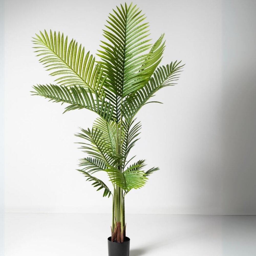 Planta artificial Palmera Pigmea 160CM. La Palmera Pigmea es una opción elegante y exótica que aporta un toque tropical a cualquier ambiente. Su diseño realista y detalles cuidados hacen que sea perfecta para decorar interiores y exteriores sin necesidad de mantenimiento. Ideal para crear espacios acogedores y llenos de vida. Disponible en www.kactusrepublic.com, con almacén en Castellón.