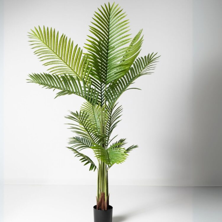 Planta artificial Palmera Pigmea 160CM. La Palmera Pigmea es una opción elegante y exótica que aporta un toque tropical a cualquier ambiente. Su diseño realista y detalles cuidados hacen que sea perfecta para decorar interiores y exteriores sin necesidad de mantenimiento. Ideal para crear espacios acogedores y llenos de vida. Disponible en www.kactusrepublic.com, con almacén en Castellón.