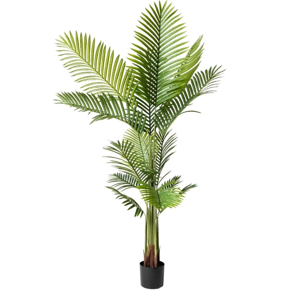 Planta artificial Palmera Pigmea 160CM. La Palmera Pigmea es una opción elegante y exótica que aporta un toque tropical a cualquier ambiente. Su diseño realista y detalles cuidados hacen que sea perfecta para decorar interiores y exteriores sin necesidad de mantenimiento. Ideal para crear espacios acogedores y llenos de vida. Disponible en www.kactusrepublic.com, con almacén en Castellón.