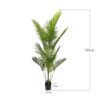 Planta artificial Palmera Pigmea 160CM. La Palmera Pigmea es una opción elegante y exótica que aporta un toque tropical a cualquier ambiente. Su diseño realista y detalles cuidados hacen que sea perfecta para decorar interiores y exteriores sin necesidad de mantenimiento. Ideal para crear espacios acogedores y llenos de vida. Disponible en www.kactusrepublic.com, con almacén en Castellón.