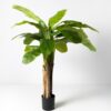 Planta Artificial Platanera 210 cm - Kactus Republic Impresionante planta decorativa ideal para hogares y oficinas, fabricada con materiales de alta calidad. Su diseño realista aporta un toque tropical y elegante a cualquier espacio. Perfecta para decoración en interiores en Castellón o cualquier lugar, disponible en Kactus Republic con envío online desde nuestro almacén en Valencia. Sin mantenimiento, resistente y fácil de limpiar.