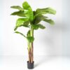 Planta Artificial Platanera 210 cm - Kactus Republic Impresionante planta decorativa ideal para hogares y oficinas, fabricada con materiales de alta calidad. Su diseño realista aporta un toque tropical y elegante a cualquier espacio. Perfecta para decoración en interiores en Castellón o cualquier lugar, disponible en Kactus Republic con envío online desde nuestro almacén en Valencia. Sin mantenimiento, resistente y fácil de limpiar.