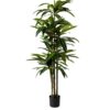 Planta Artificial Dracaena 180CM ✨ Kactus Republic