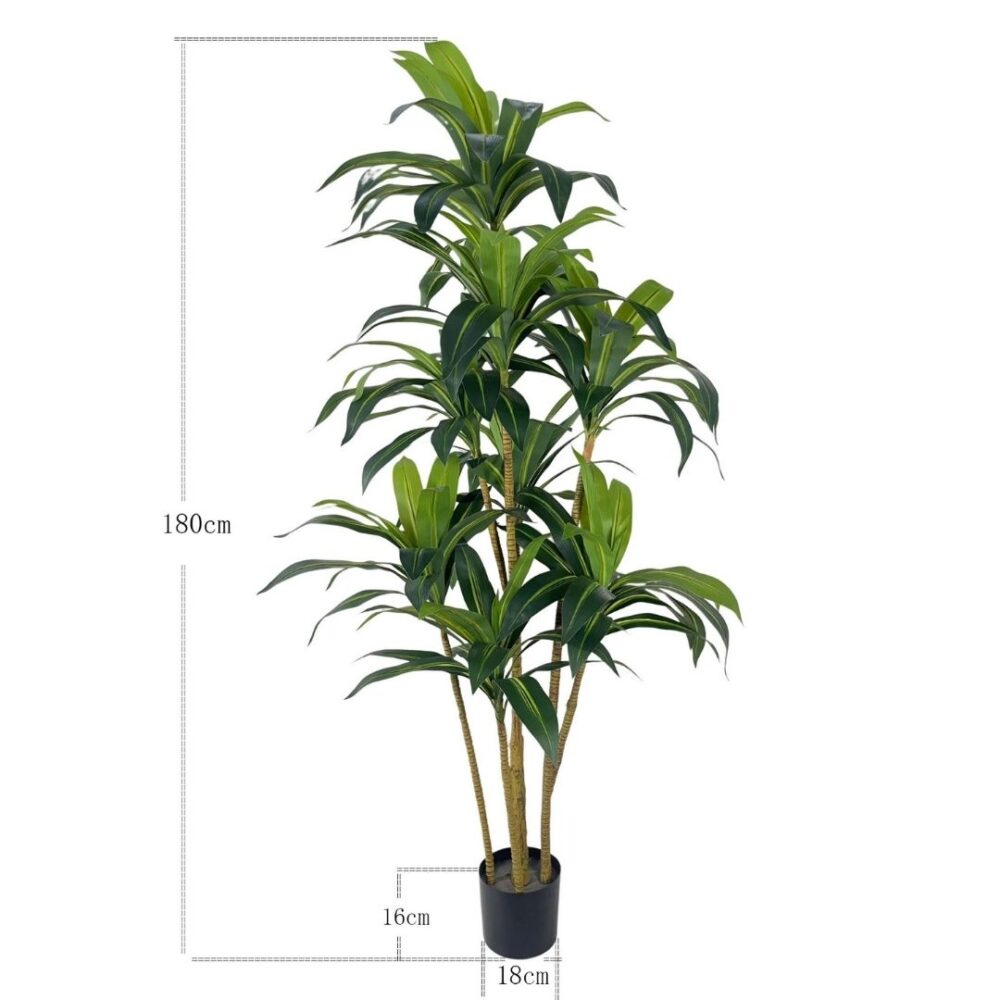 Planta Artificial Dracaena 180CM ✨ Kactus Republic