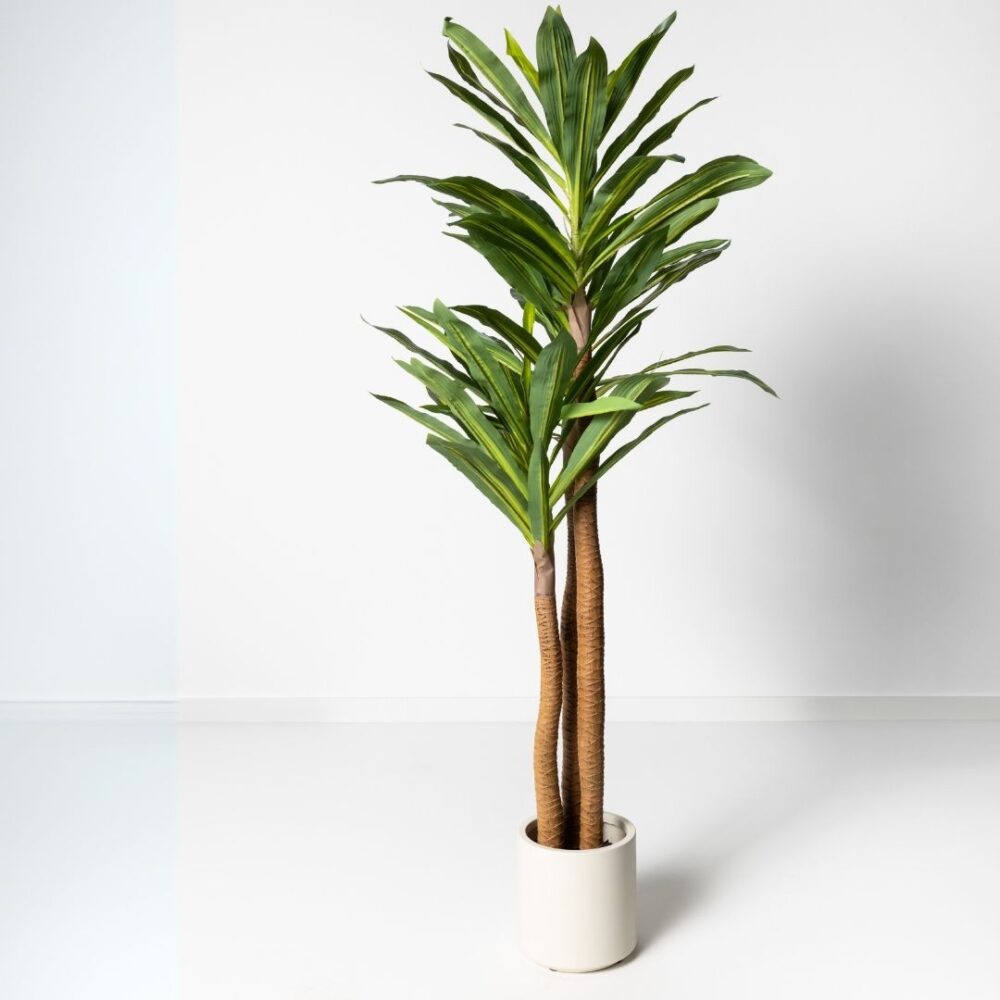 Planta artificial Dracaena de 180 cm con hojas realistas en tonos verdes y tronco robusto, ideal para decoración de interiores.