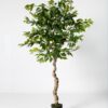 Planta Artificial Ficus 180 cm con hojas realistas y tronco robusto, ideal para decoración de interiores y grandes espacios. Kactus Republic.