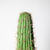 Planta artificial cactus Euphorbia 3 ramas 178 cm, diseño escultural y realista con detalles naturales, ideal para decoración de interiores y exteriores protegidos.