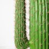 Planta artificial cactus Euphorbia 3 ramas 178 cm, diseño escultural y realista con detalles naturales, ideal para decoración de interiores y exteriores protegidos.