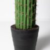 Planta artificial cactus Euphorbia 4 ramas 209cm, diseño escultural y realista con detalles naturales, ideal para decoración de interiores y exteriores protegidos.