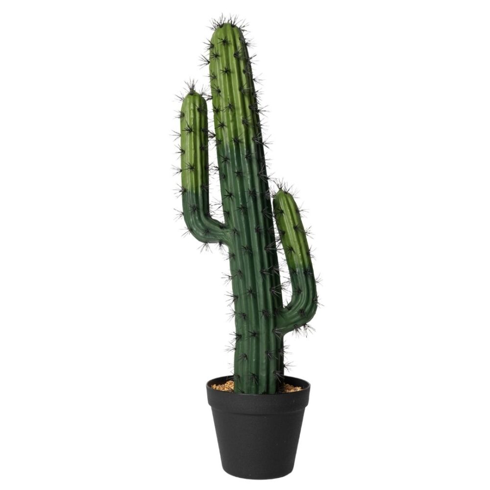 Cactus Euphoria 2 Ramas 70 cm realista, perfecto para decoración interior sin mantenimiento