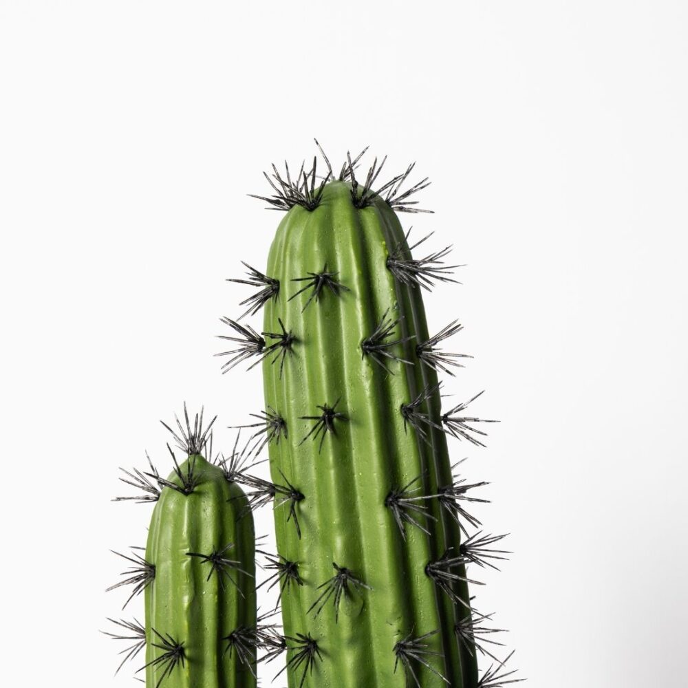 Cactus Euphoria 2 Ramas 70 cm realista, perfecto para decoración interior sin mantenimiento