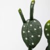 Planta Artificial Opuntia 53 cm ideal para decorar interiores y oficinas sin mantenimiento