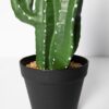 Planta Artificial Cactus Cereus con Flores de 70 cm